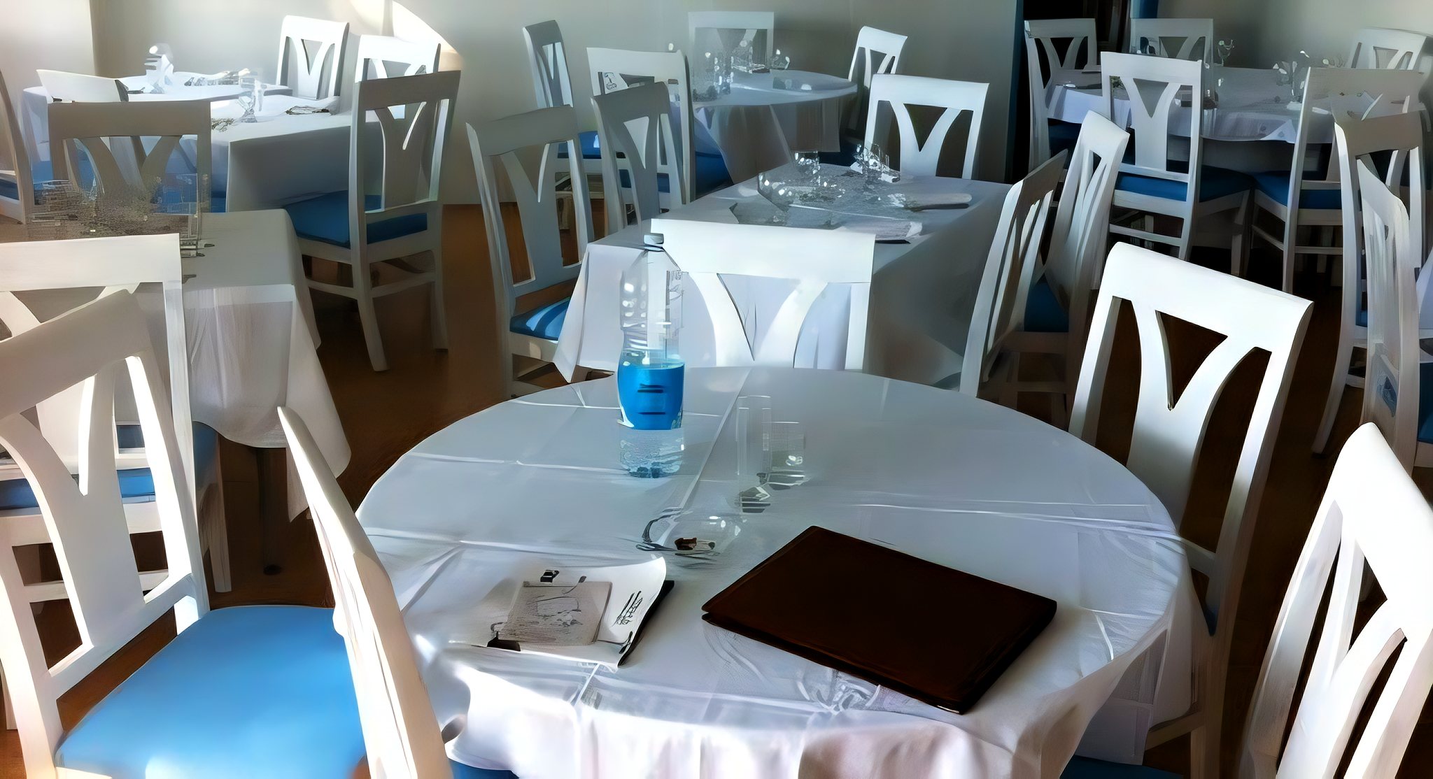 Ristorante Leone – Mentone | Cassani SRL